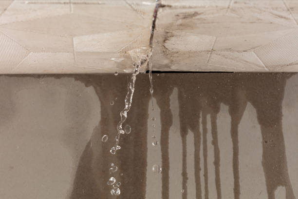 Professional Burst Pipe Cleanup technician working in Danville, AL